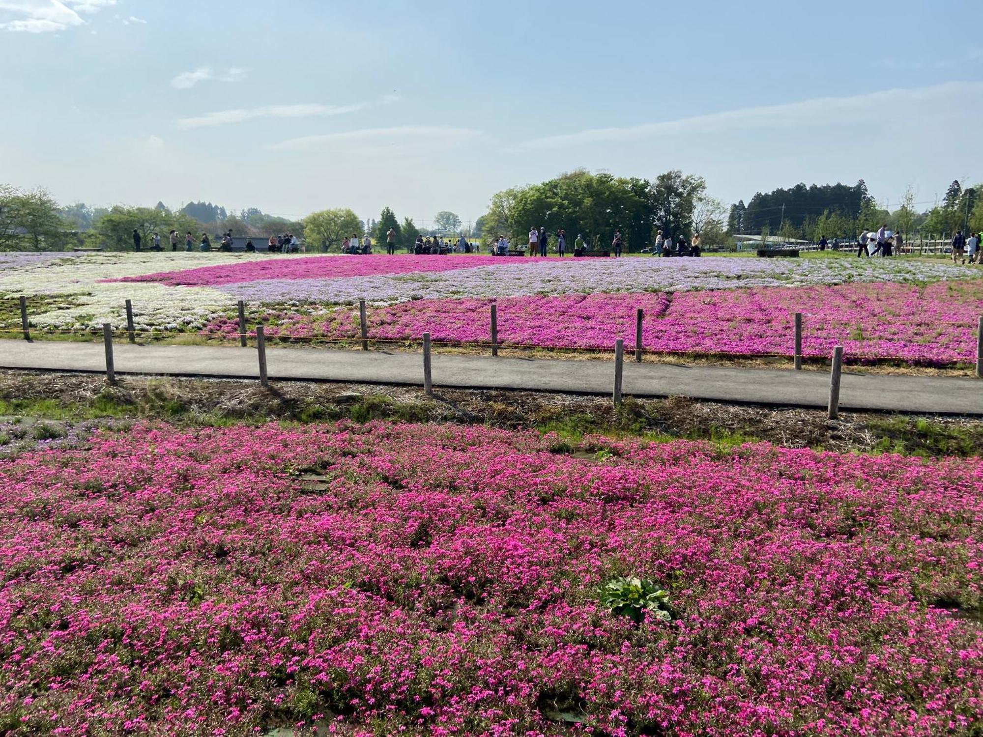 Vessel Inn Keisei Tsudanuma Station Narashino Bagian luar foto